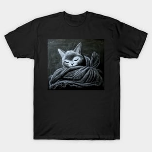 Sleeping Cat on Blankets T-Shirt